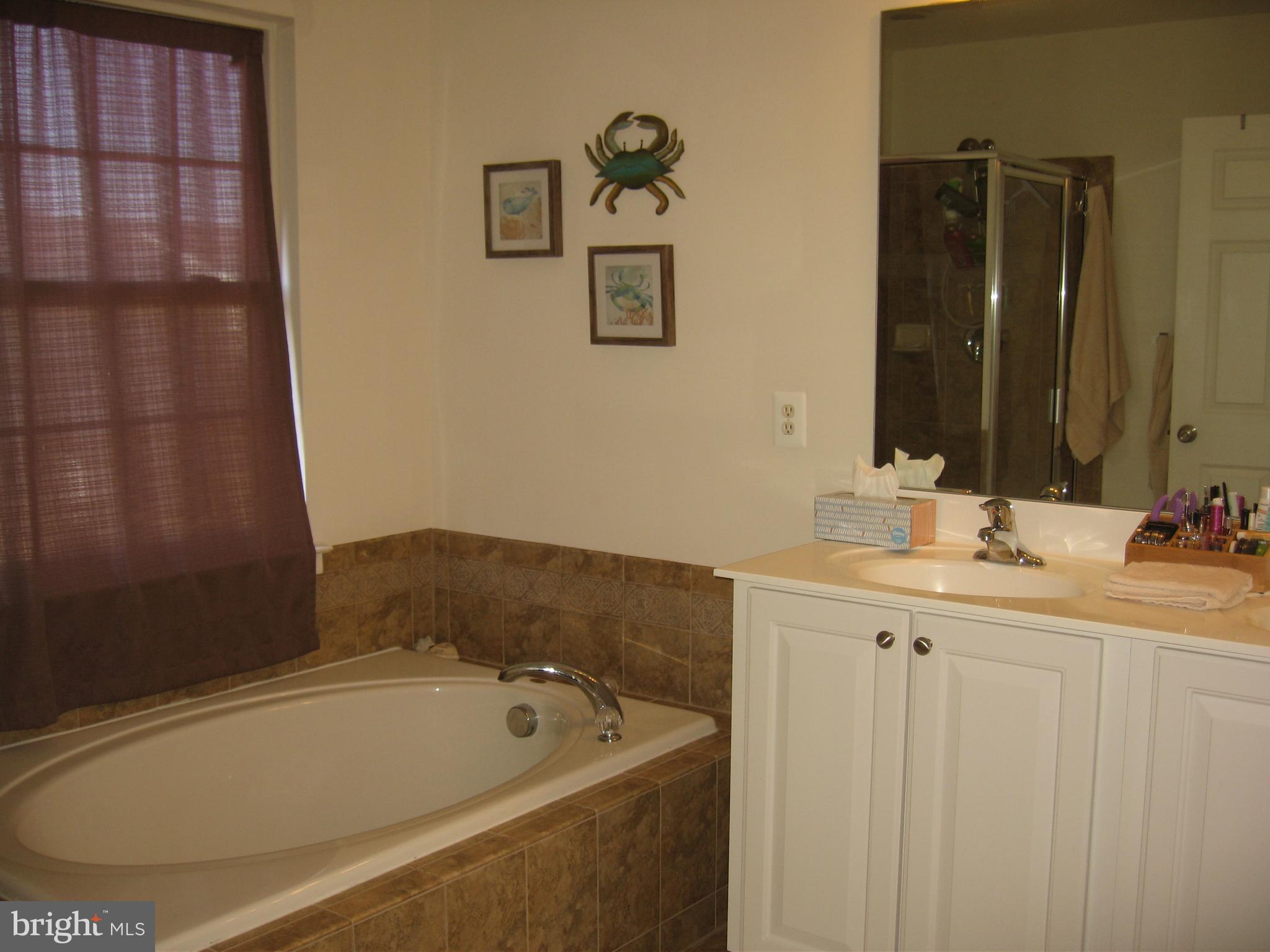 1239 Mare Street Ranson, WV 25438 - Photo 9 of 11 Bath (Master)
