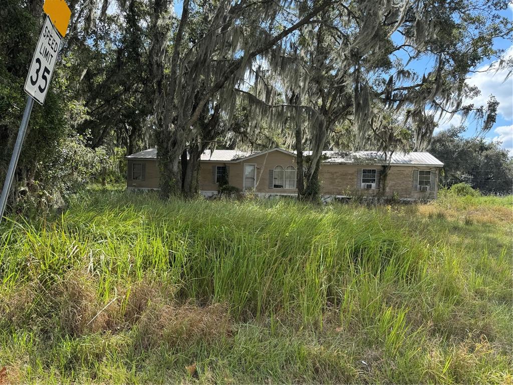 3721 Porter Road Lithia, FL 33547 - Photo 1 of 10 a backyard of a house with lots of green space