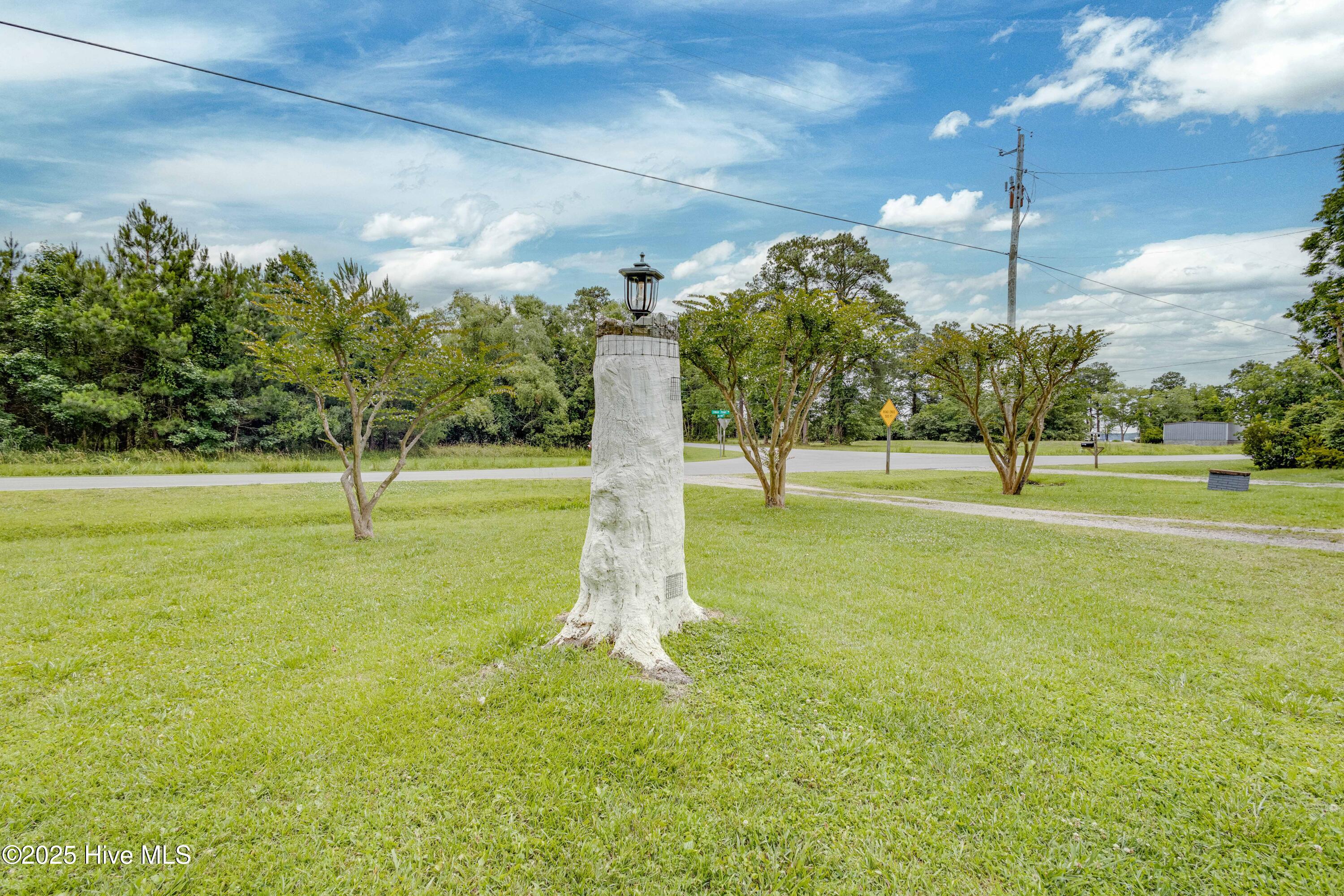 766 Swan Point Road Washington, NC 27889 - Photo 37 of 41 037 Front Yard