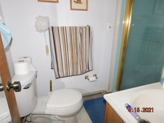 313 Orchard Road Swiftwater, PA 18370 - Photo 27 of 40 Master Bath