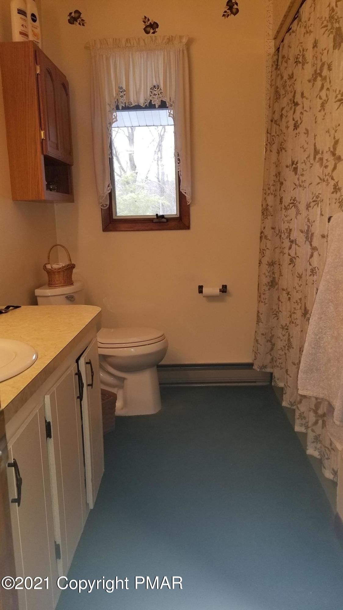 313 Orchard Road Swiftwater, PA 18370 - Photo 32 of 40 Main Bath
