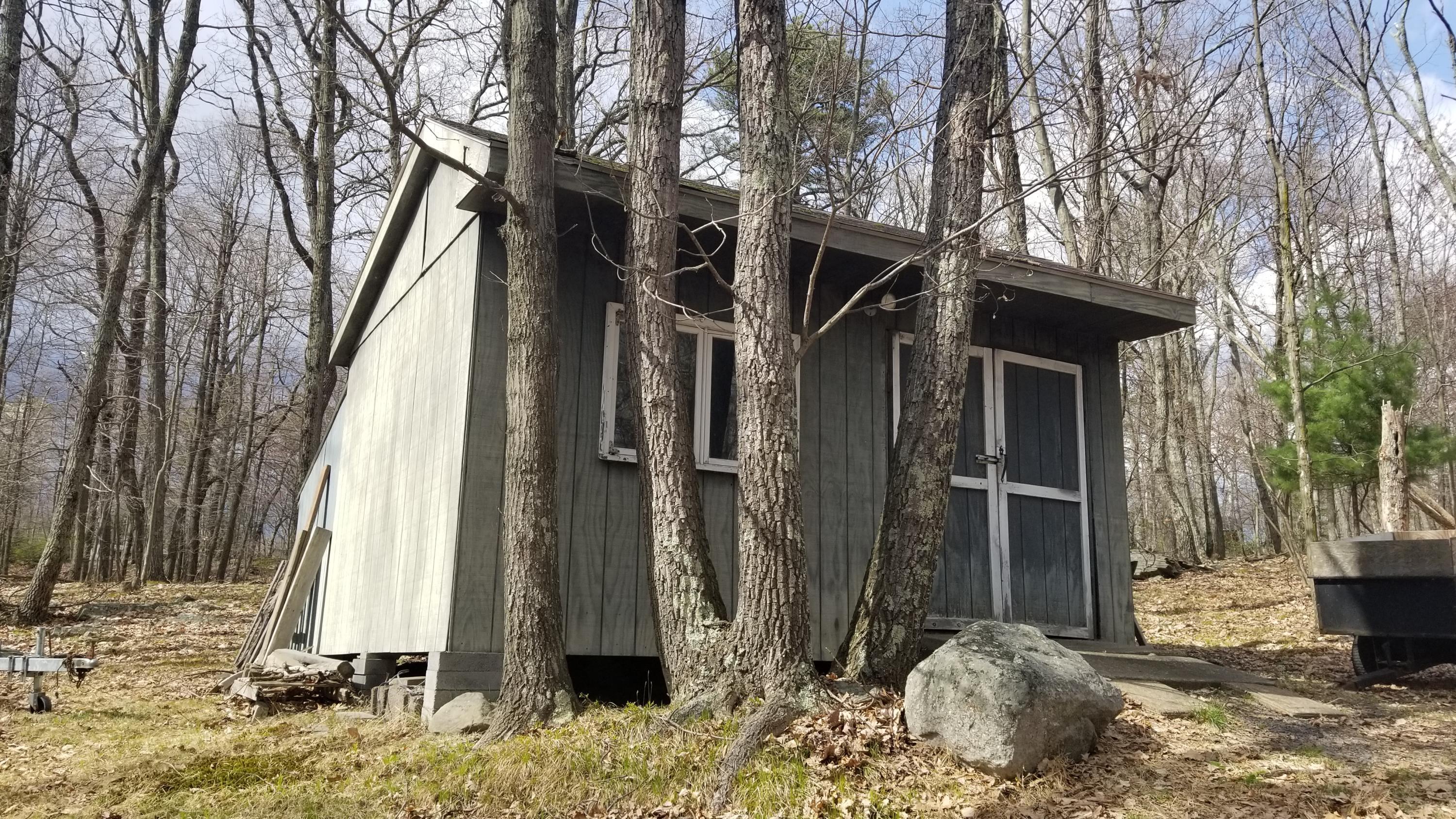 313 Orchard Road Swiftwater, PA 18370 - Photo 36 of 40 Shed