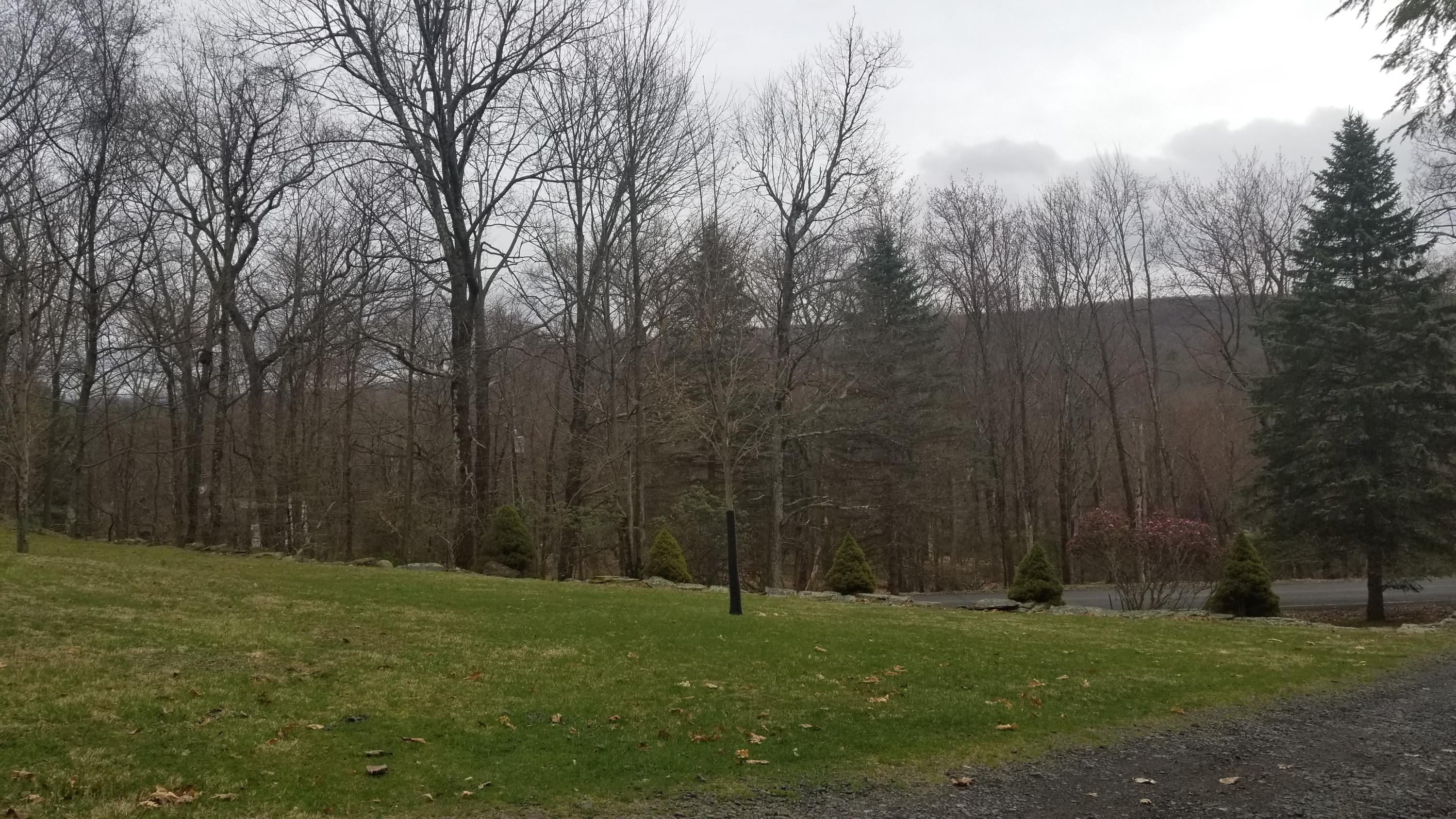 313 Orchard Road Swiftwater, PA 18370 - Photo 9 of 40 View
