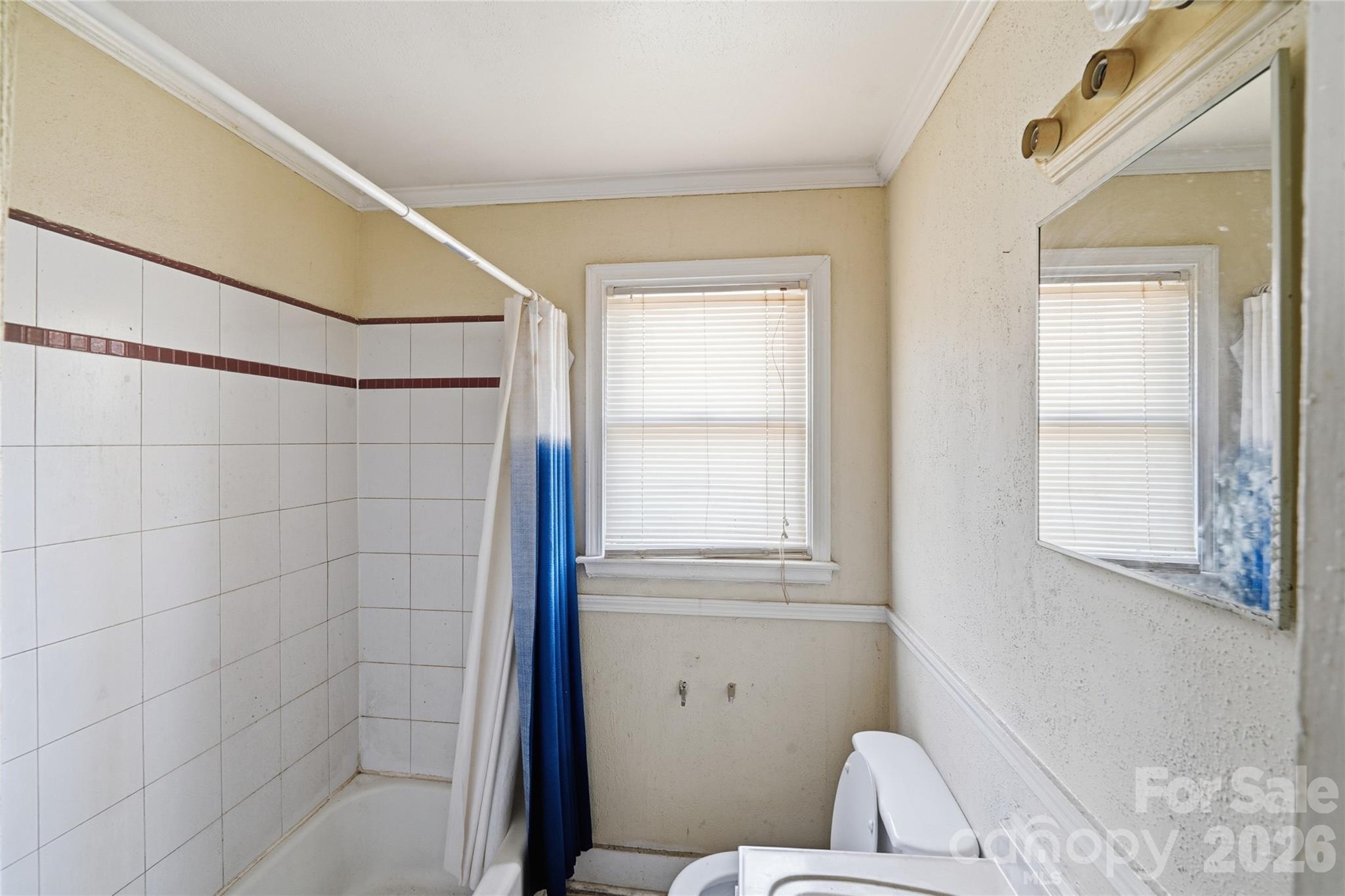 3309 Ritch Avenue Charlotte, NC 28206 - Photo 15 of 25 a bathroom with a toilet and a shower