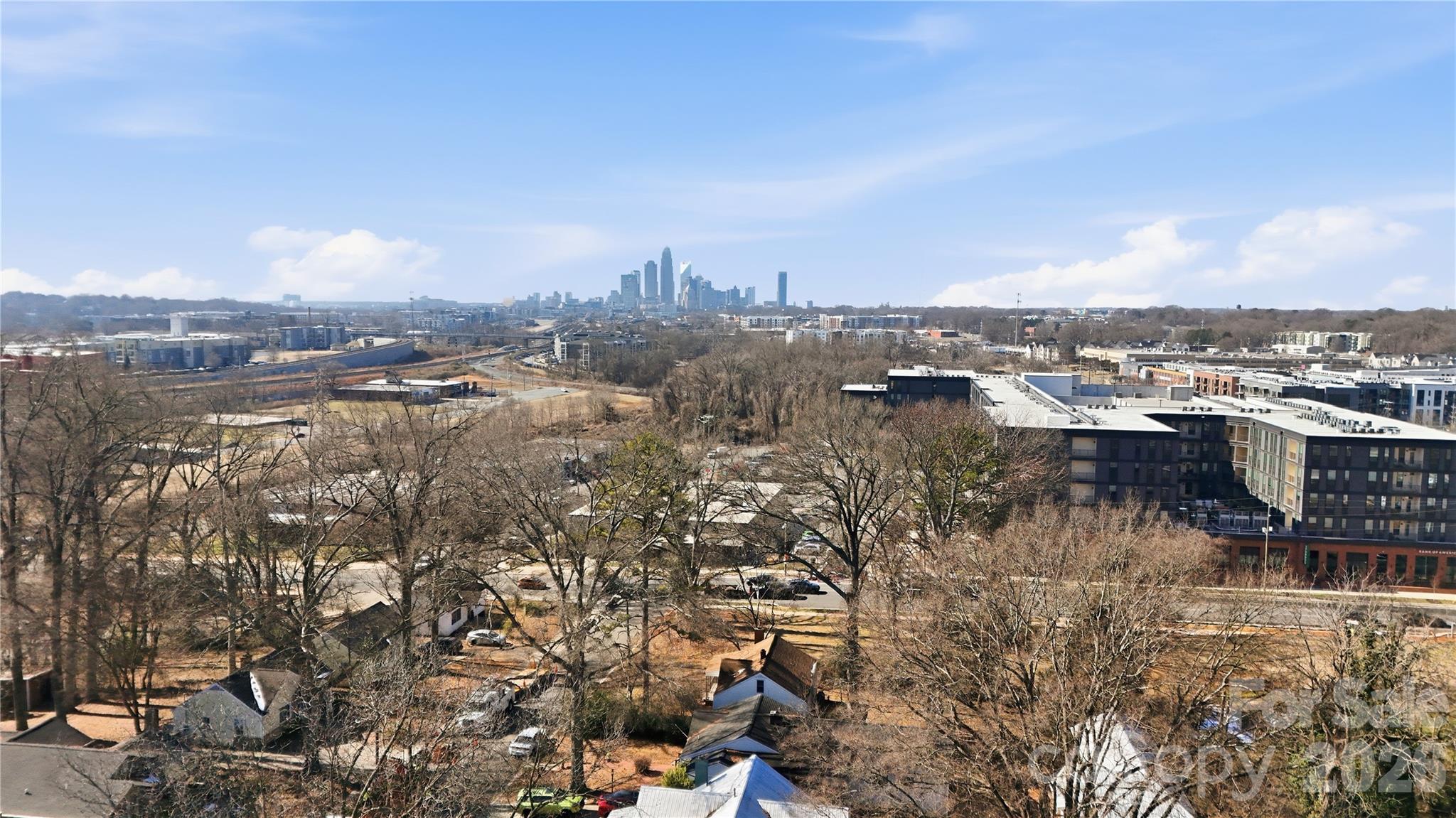 3309 Ritch Avenue Charlotte, NC 28206 - Photo 20 of 25 a view of a city