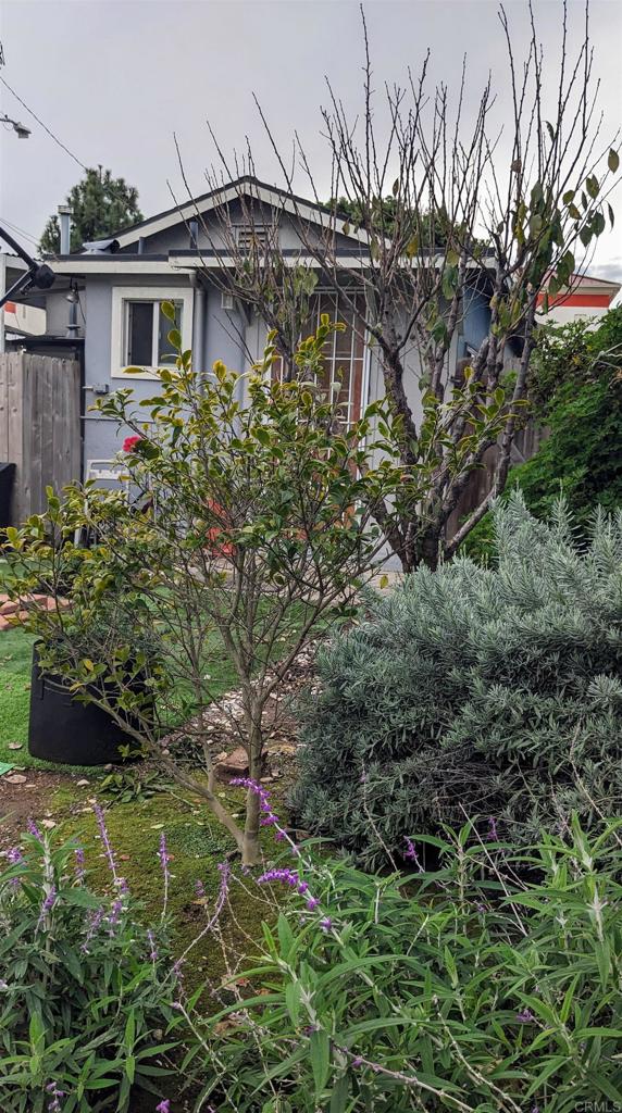 3258 Tyler Street Carlsbad, CA 92008 - Photo 23 of 27 a yellow house with lots of trees