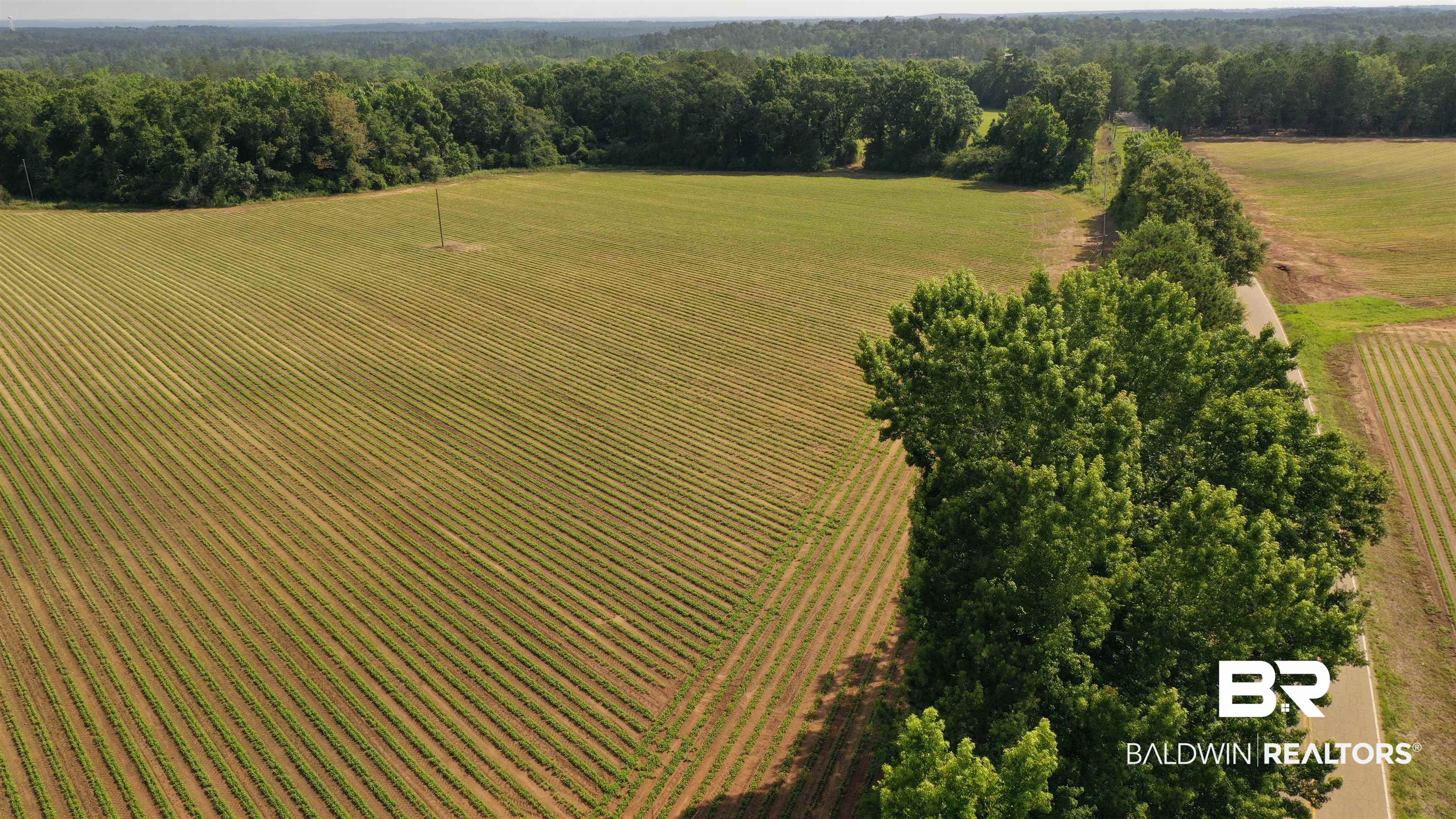 6 Travis Road Brewton, AL 36426 - Photo 16 of 22