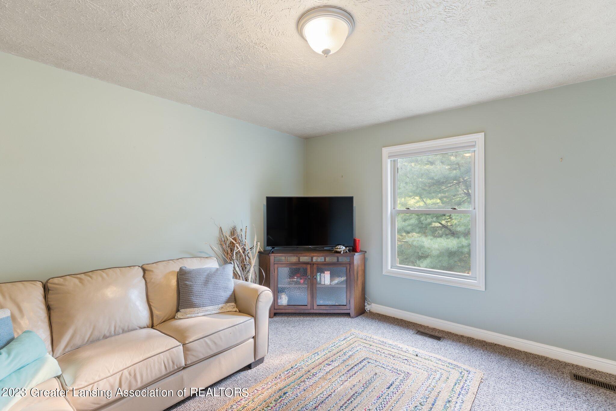 10262 River Rock Road Dimondale, MI 48821 - Photo 30 of 44 38-web-or-mls-10262-rock-hollow-ln