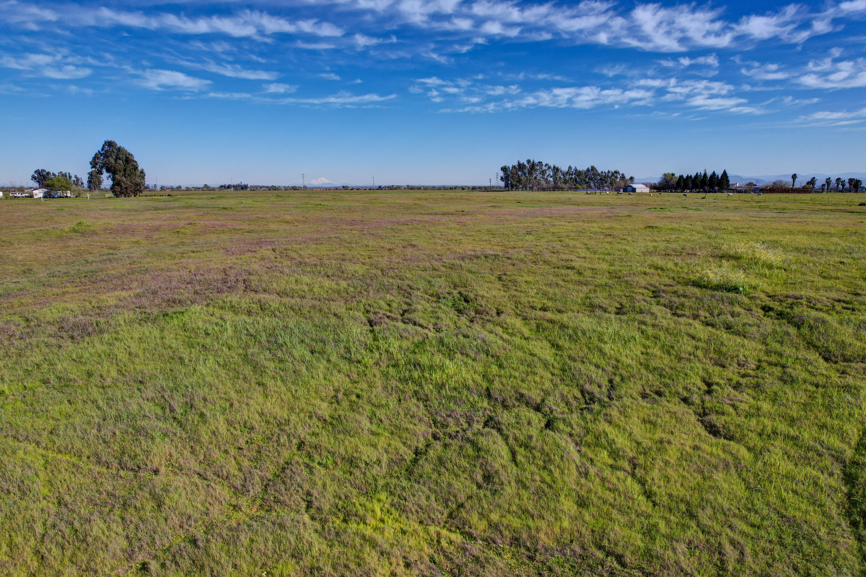 Shawn Lane Red Bluff, CA 96080 - Photo 7 of 8 7-DJI_0236_37_38_39_40
