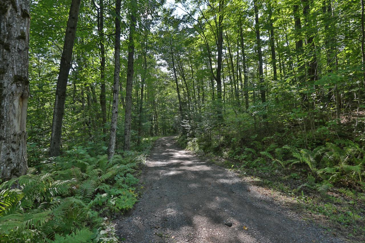 8804 Pardee Lake Road Presque Isle, WI 54557 - Photo 49 of 51 Gallery Image 49