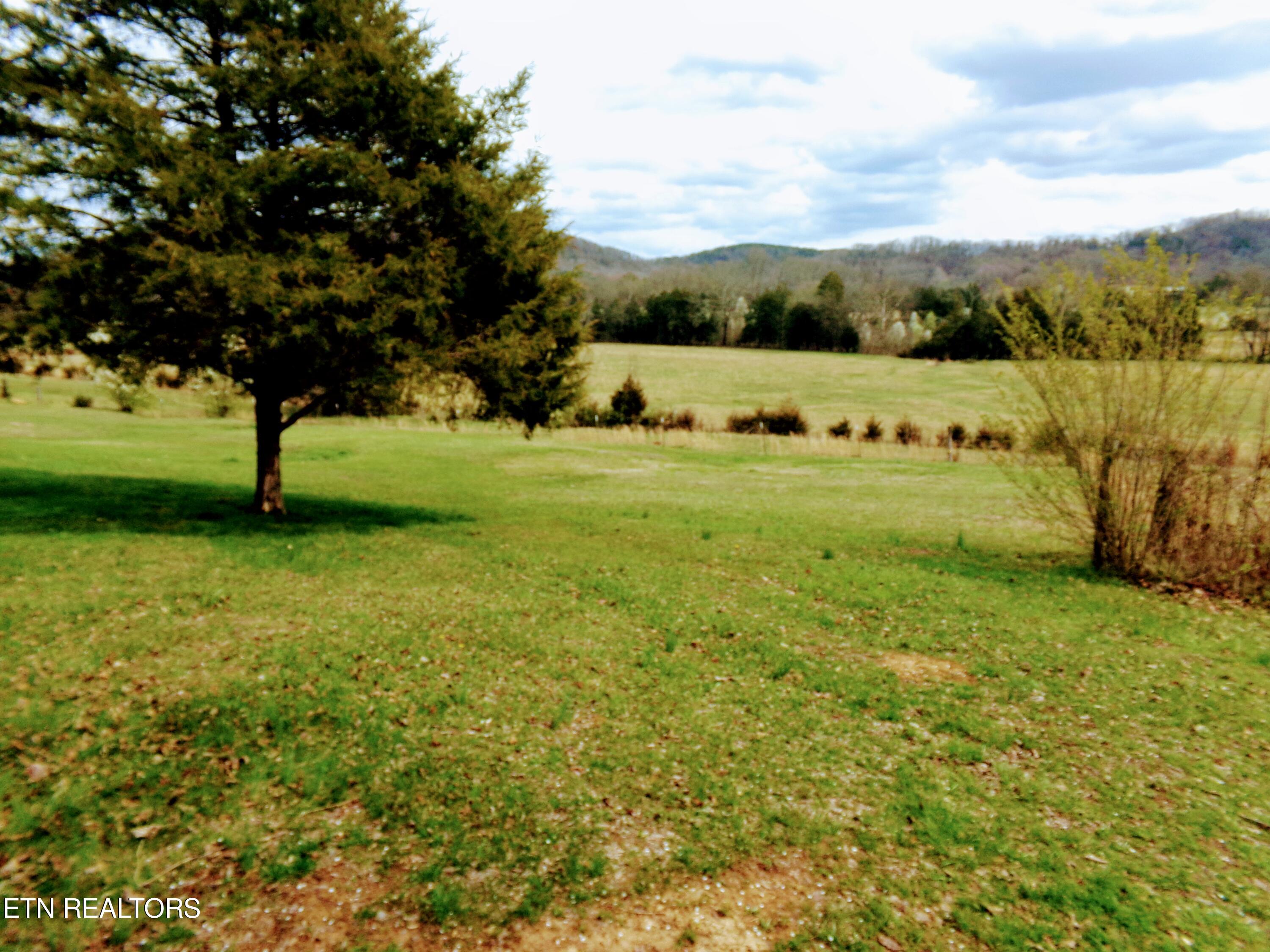 4625 Decatur Highway Ten Mile, TN 37880 - Photo 21 of 22 101_0682~2