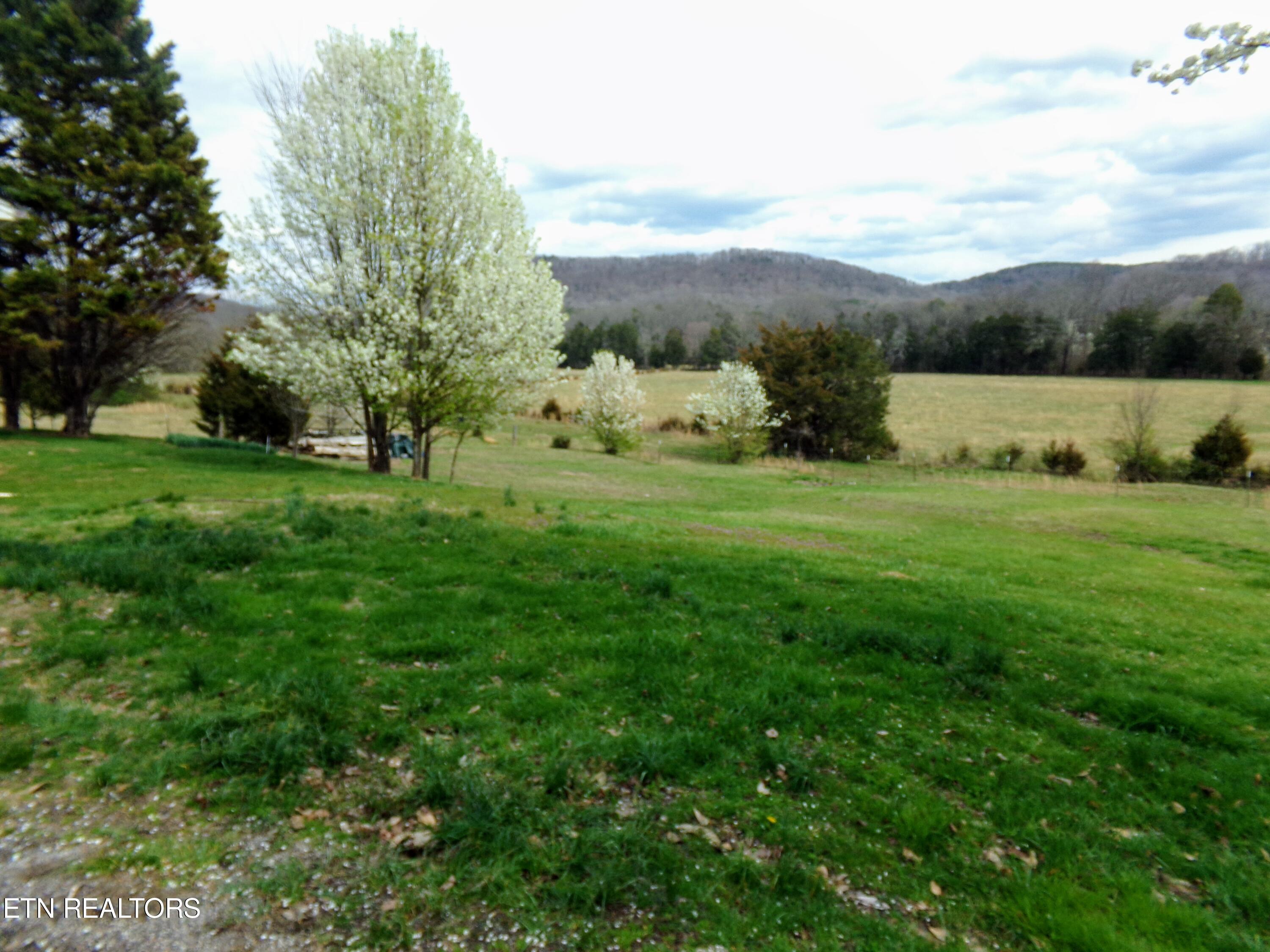 4625 Decatur Highway Ten Mile, TN 37880 - Photo 22 of 22 101_0681~2