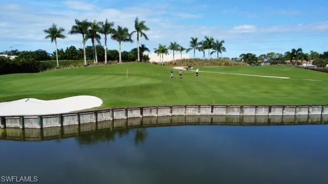 a view of a swimming pool with a garden