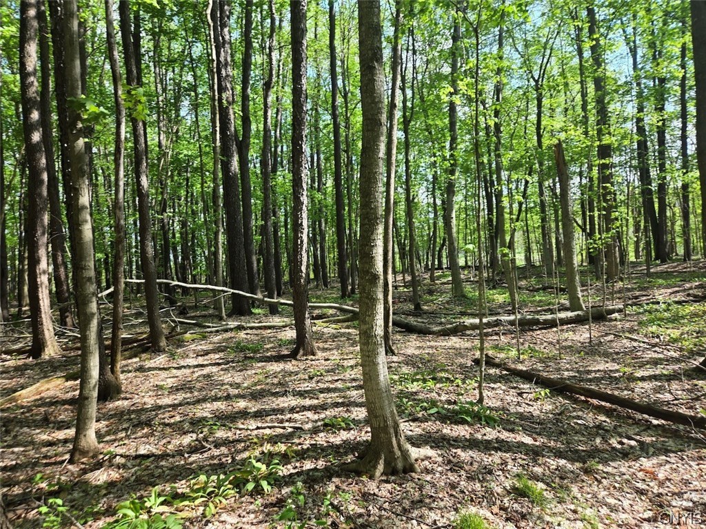Pochuck Road Bliss, NY 14024 - Photo 23 of 23