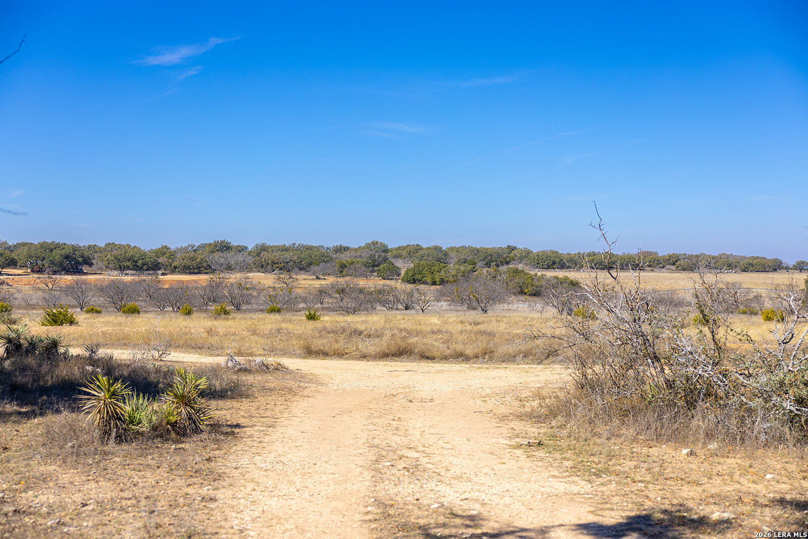 6623 Starks Road Mason, TX 76856 - Photo 56 of 114