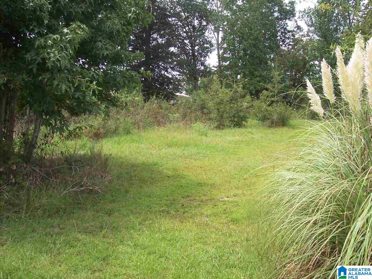 158 Cherry Street, Unit 1 Ohatchee, AL 36271 - Photo 1 of 13