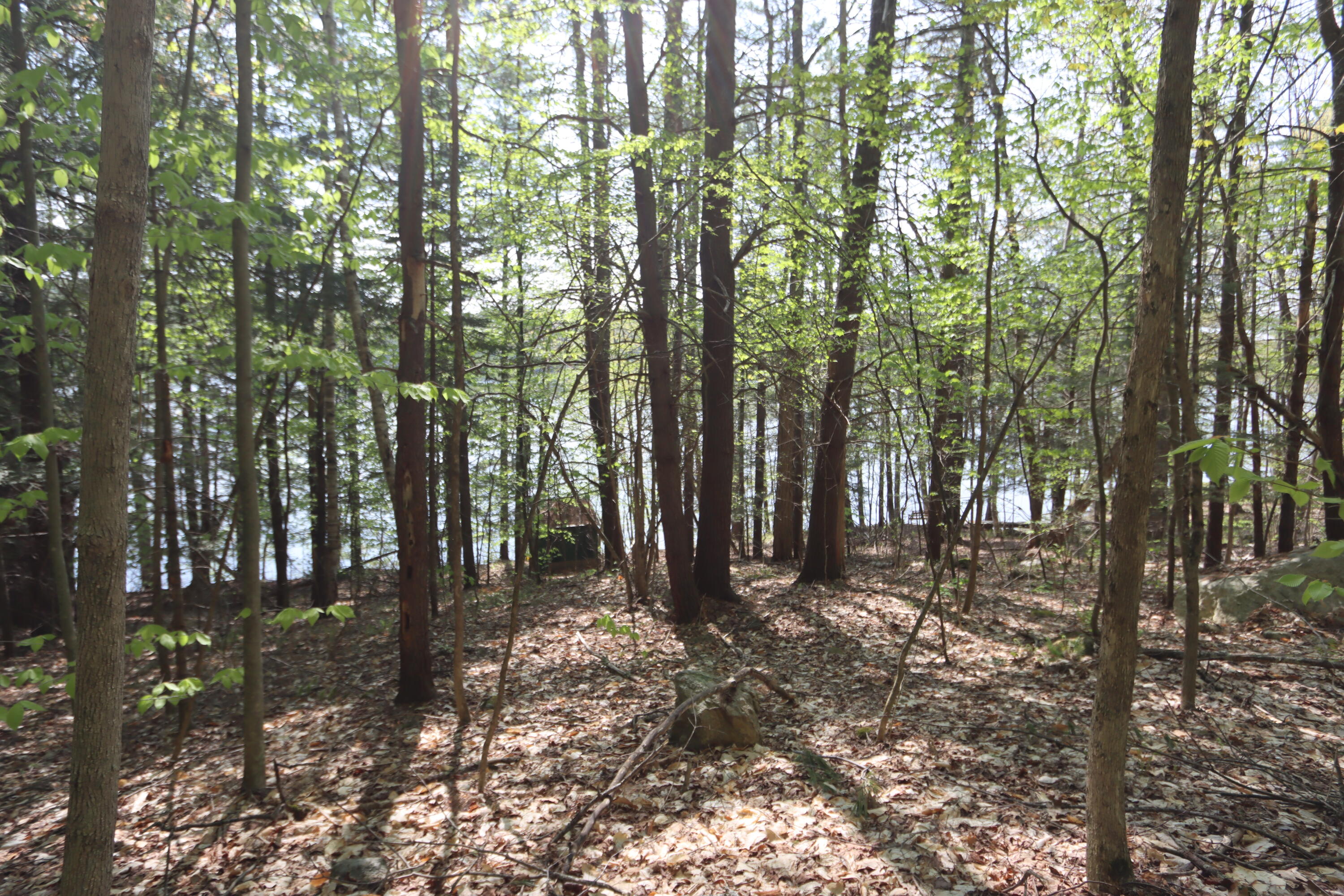36 Shore Road Lewiston, ME 04240 - Photo 5 of 14 IMG_0045