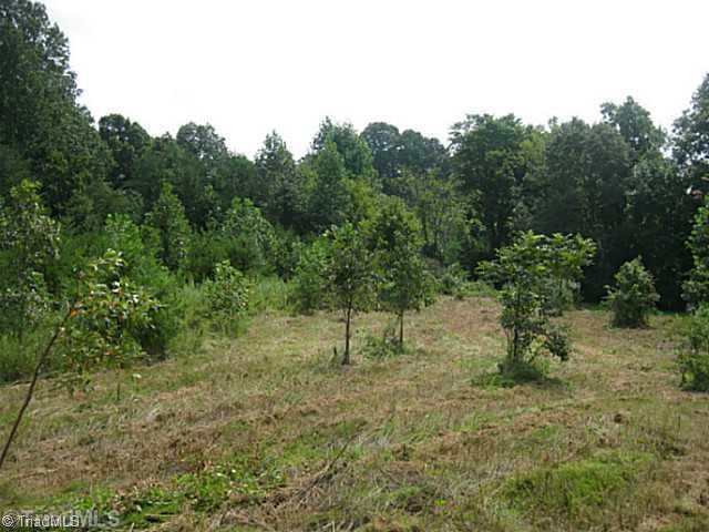 0 Claude Ratledge Road Mocksville, NC 27028 - Photo 3 of 16 Land.