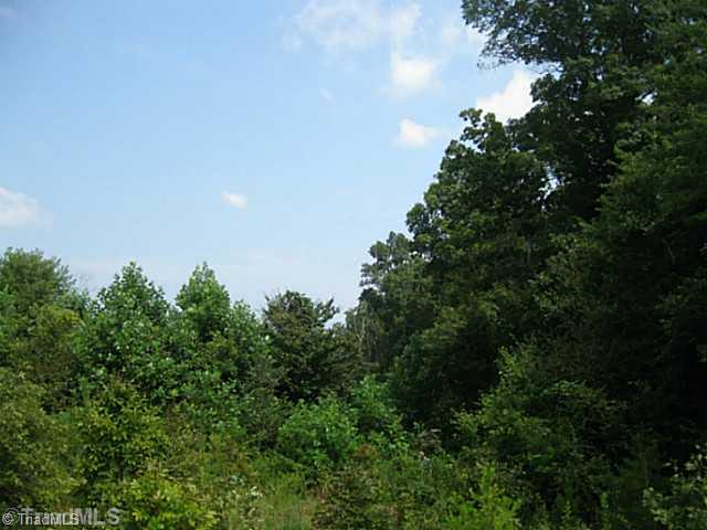0 Claude Ratledge Road Mocksville, NC 27028 - Photo 4 of 16 View.
