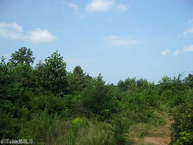0 Claude Ratledge Road Mocksville, NC 27028 - Photo 5 of 16 View.