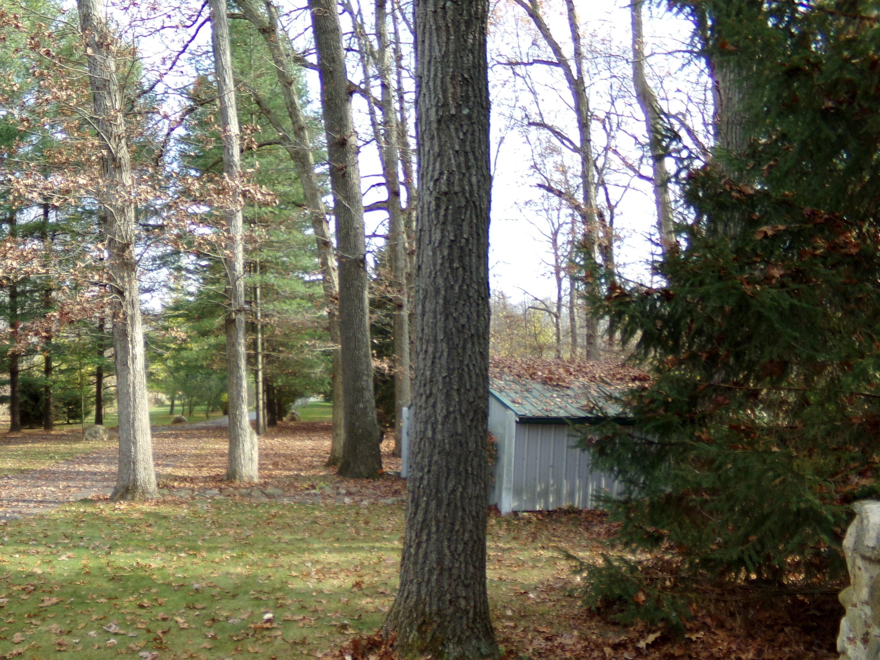 12180 Mead Road Montgomery, MI 49255 - Photo 17 of 52 100_0140