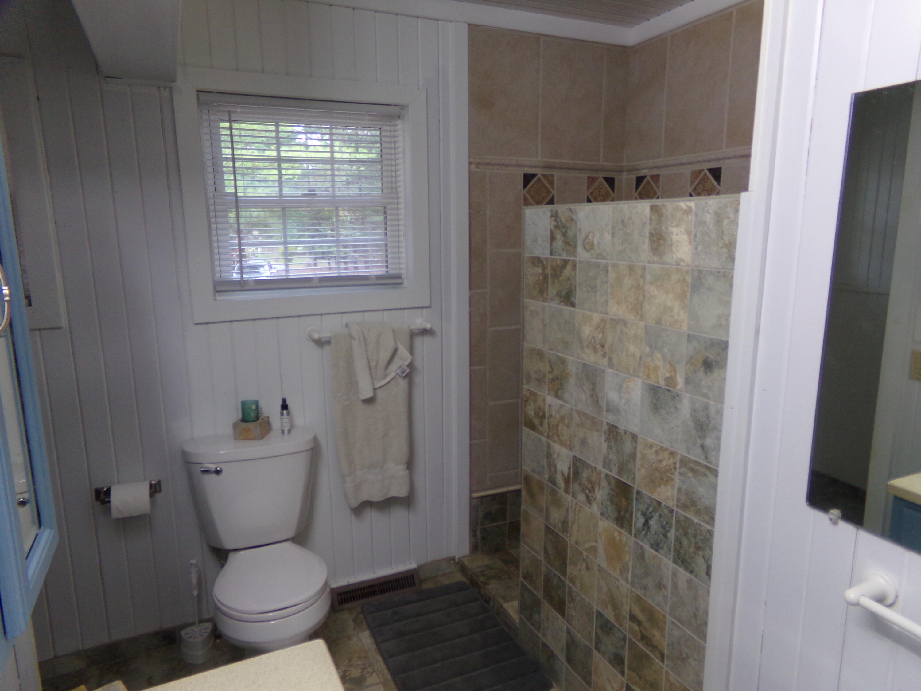 12180 Mead Road Montgomery, MI 49255 - Photo 28 of 52 100_0159