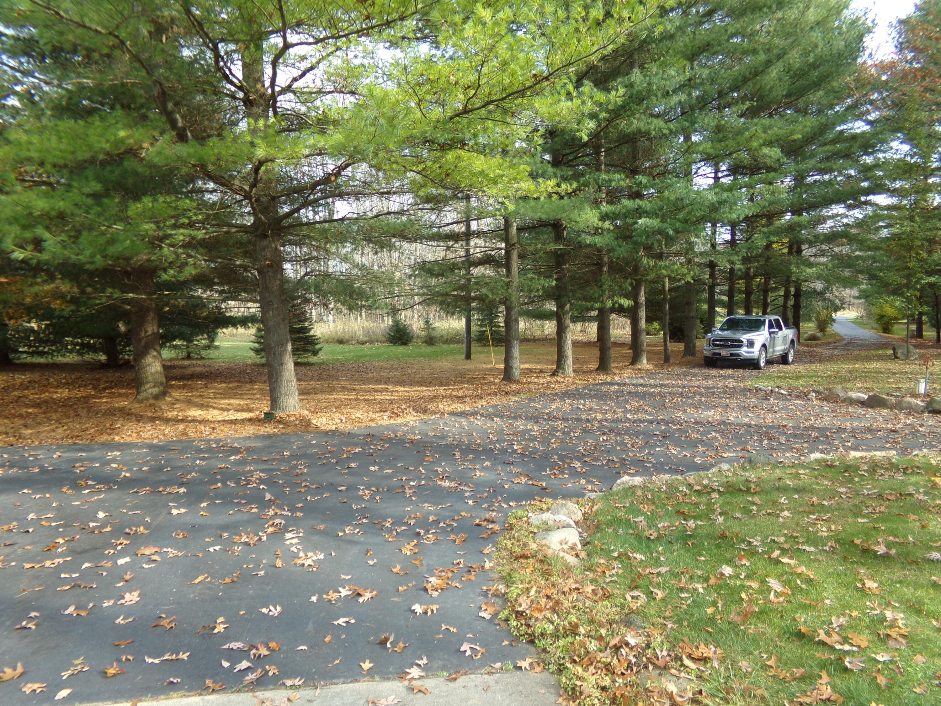 12180 Mead Road Montgomery, MI 49255 - Photo 6 of 52 100_0121