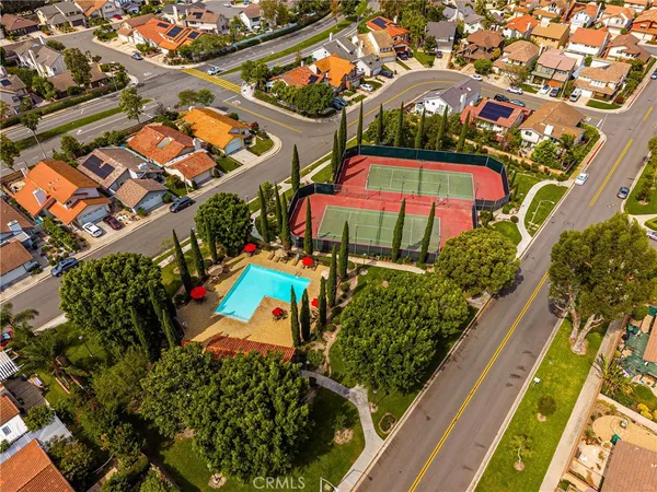 a view of a park with a tree