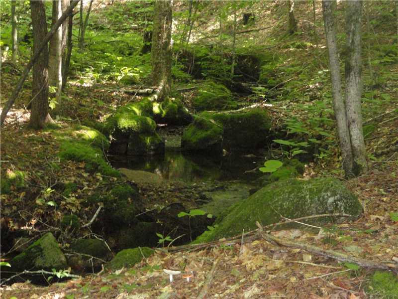 319 Butters Hill Road Stoneham, ME 04231 - Photo 8 of 35 Land. Pretty falling brook along...