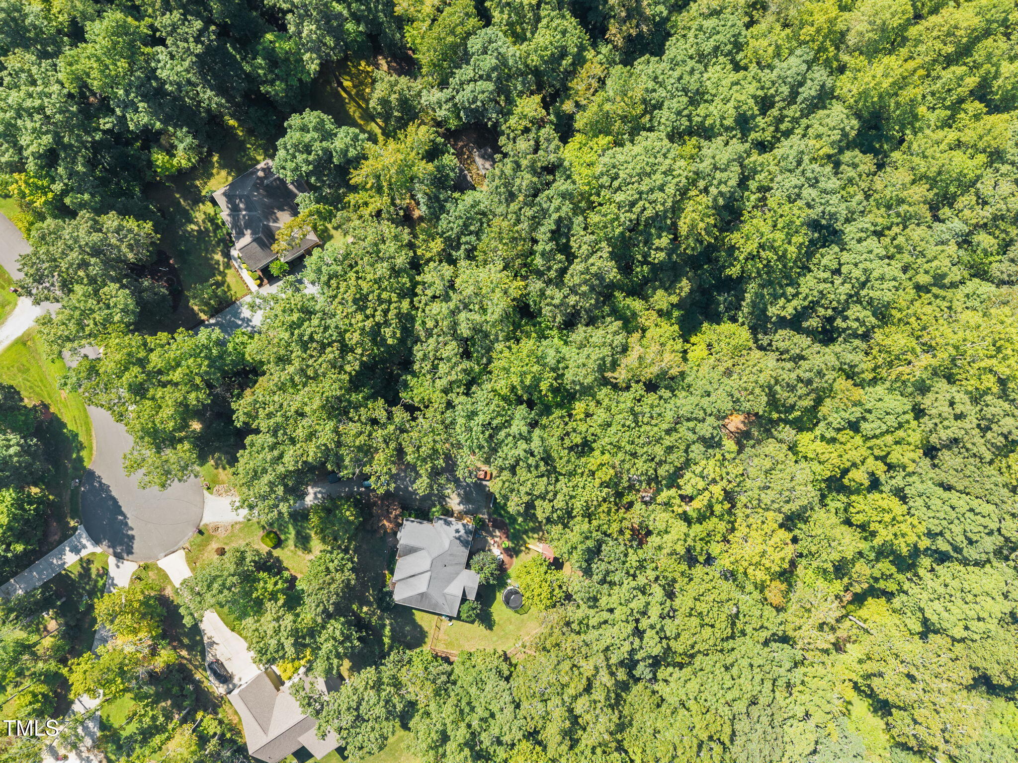 279 Weaver Ridge Road Rougemont, NC 27572 - Photo 54 of 56 23-web-or-mls-23-DJI_20250905112035_0217