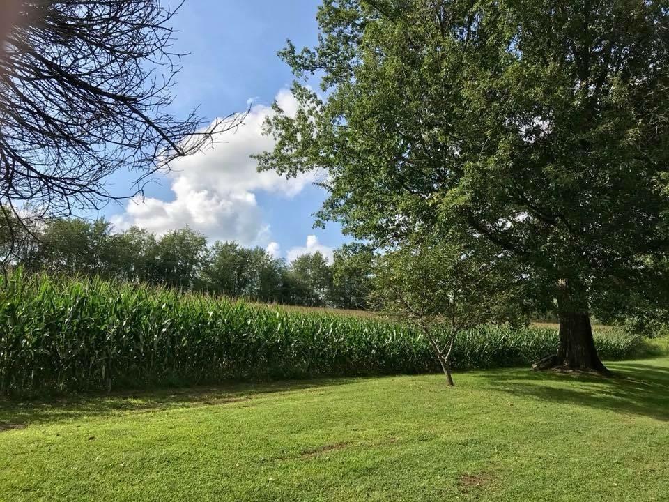 203 Banocy Road Derry, PA 15627 - Photo 4 of 23 Gallery Image 4