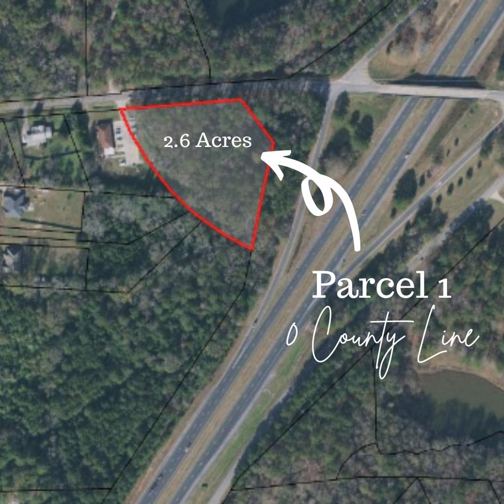 0 County Line Road Midland, GA 31820 - Photo 1 of 3 Main View