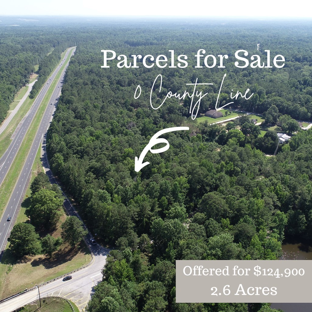 0 County Line Road Midland, GA 31820 - Photo 2 of 3