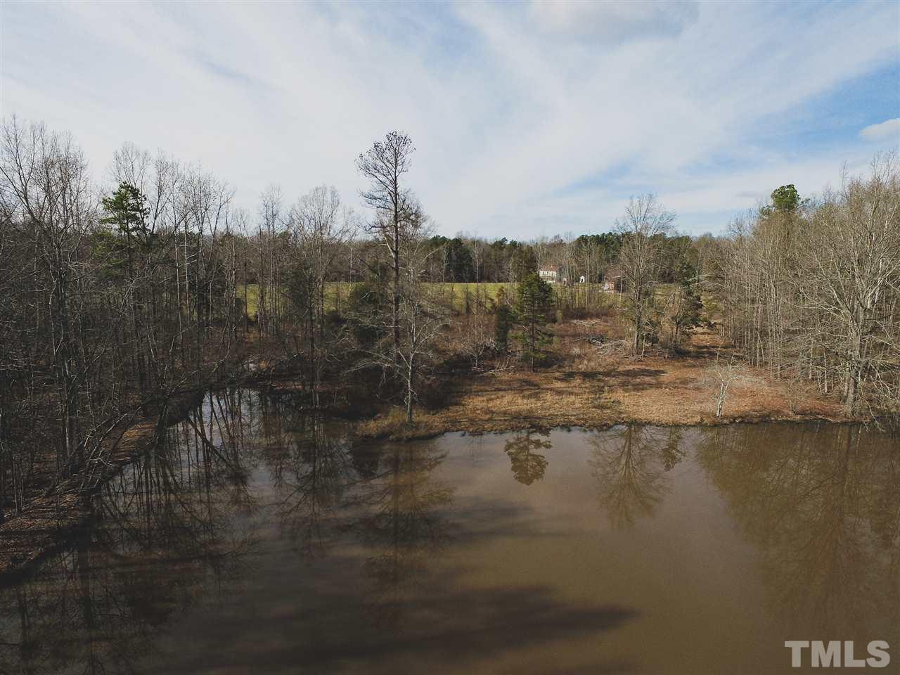 60-ac Brown Road Hurdle Mills, NC 27541 - Photo 9 of 21 Gallery Image 9