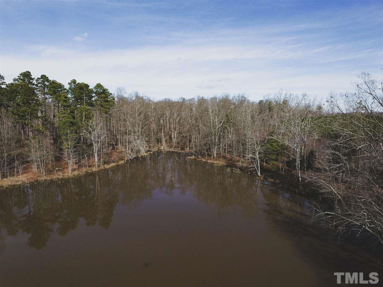 60-ac Brown Road Hurdle Mills, NC 27541 - Photo 10 of 21 Gallery Image 10