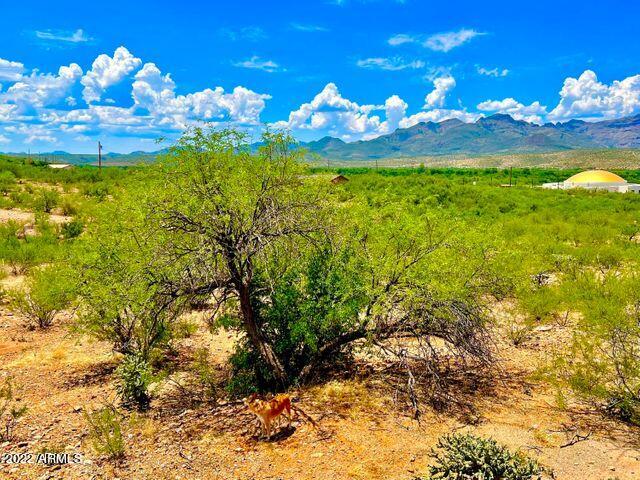 10.03 Acres, Unit 165 Rio Rico, AZ 85648 - Photo 11 of 25 20220822072222726732000000-o