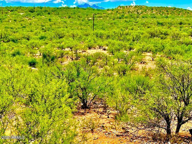 10.03 Acres, Unit 165 Rio Rico, AZ 85648 - Photo 14 of 25 20220822072203157617000000-o