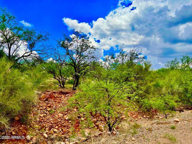 10.03 Acres, Unit 165 Rio Rico, AZ 85648 - Photo 16 of 25 20220822072132653671000000-o