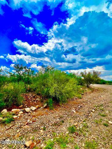 10.03 Acres, Unit 165 Rio Rico, AZ 85648 - Photo 24 of 25 20220822072045775510000000-o