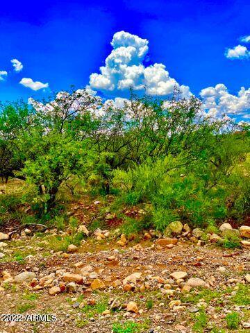 10.03 Acres, Unit 165 Rio Rico, AZ 85648 - Photo 25 of 25 20220822072053603211000000-o
