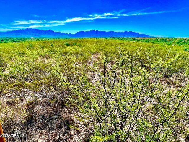 10.03 Acres, Unit 165 Rio Rico, AZ 85648 - Photo 9 of 25 20220822072257887481000000-o
