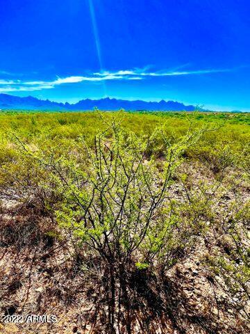 10.03 Acres, Unit 165 Rio Rico, AZ 85648 - Photo 10 of 25 20220822072237584441000000-o