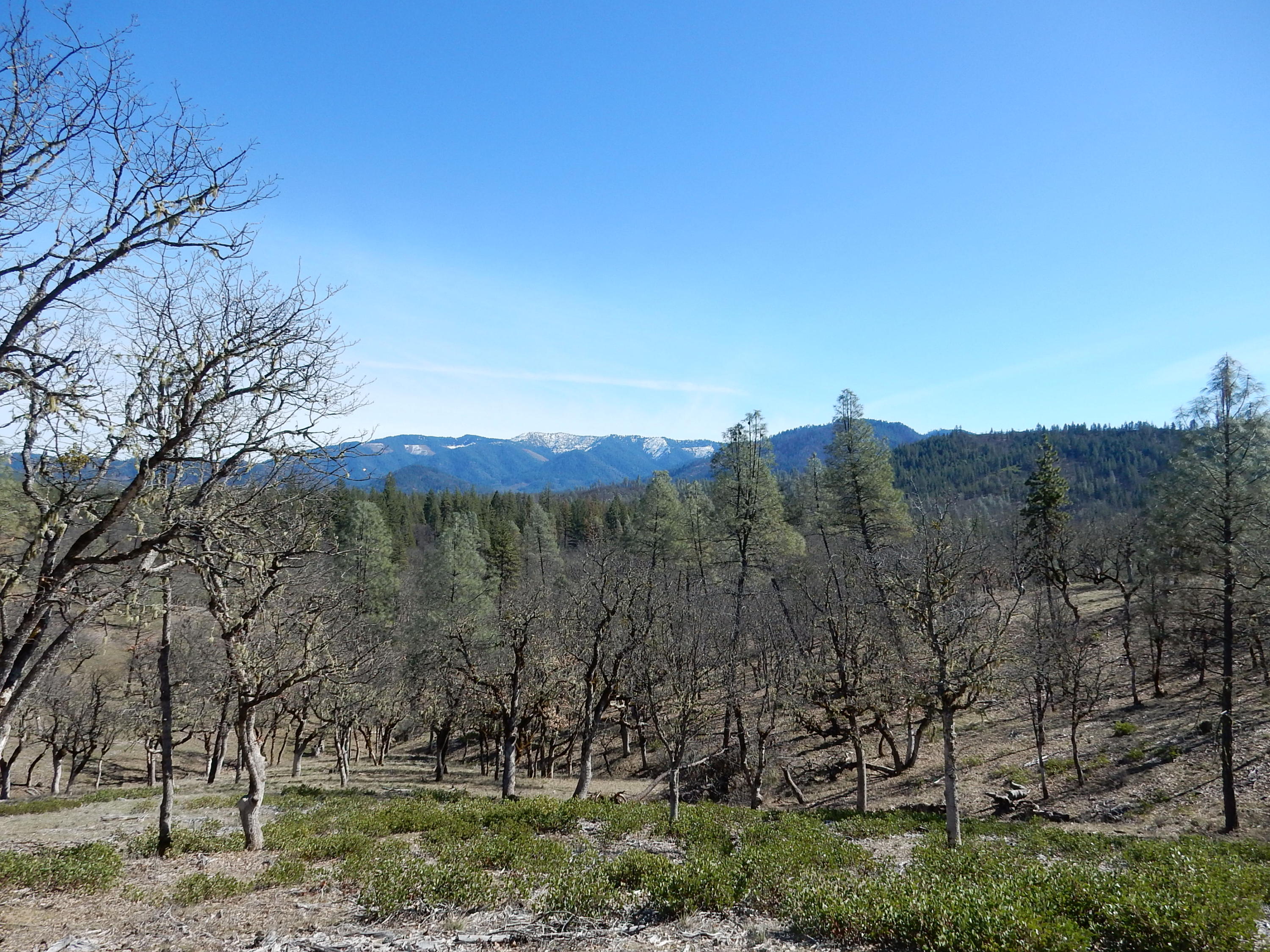 1010 Farmer Ranch Road Hayfork, CA 96041 - Photo 34 of 36 Gallery Image 34