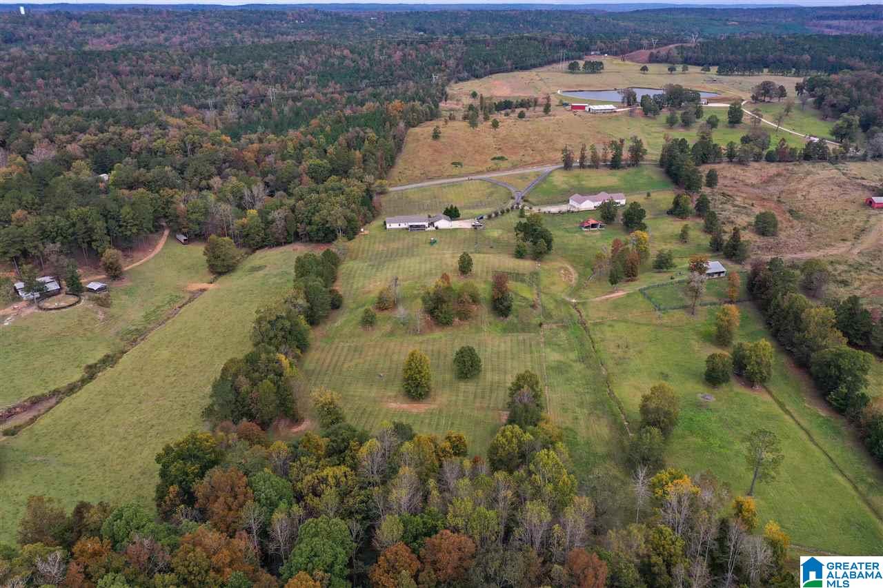1614 Camp Branch Road West Blocton, AL 35184 - Photo 48 of 50