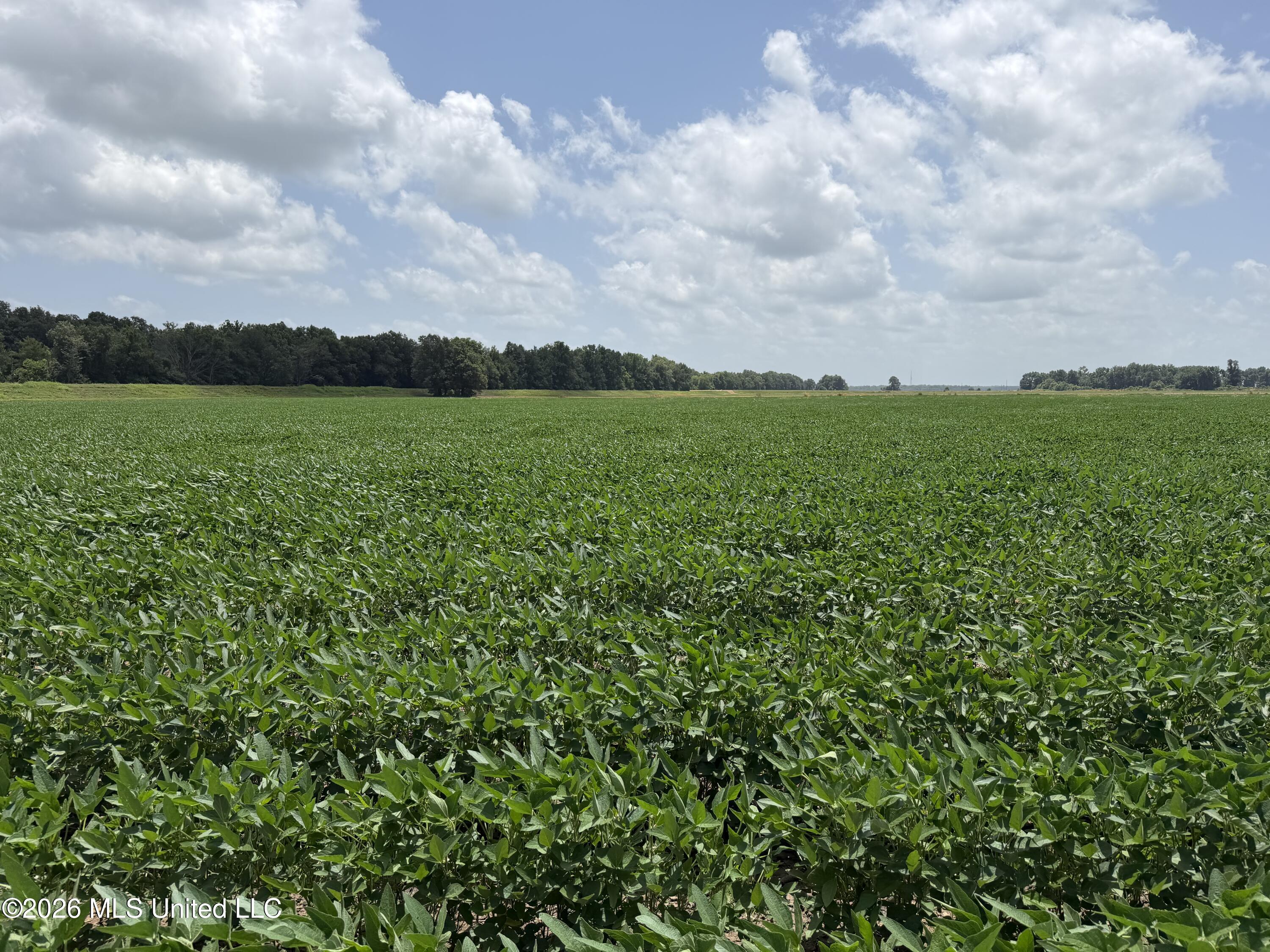 Hot Thornton Road Tunica, MS 38676 - Photo 15 of 29 Photo Jun 29 2026, 1 15 32 PM