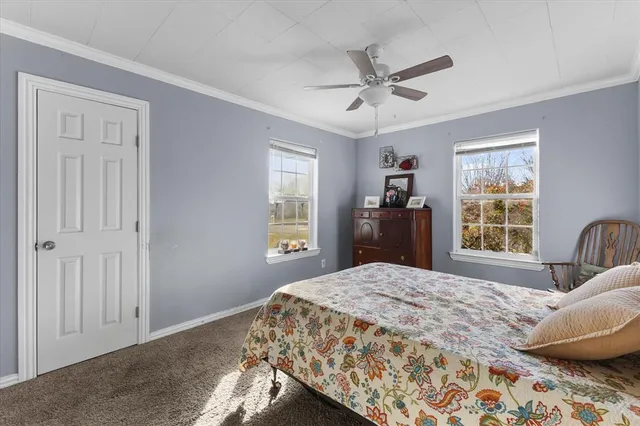 a bedroom with a large bed and a window