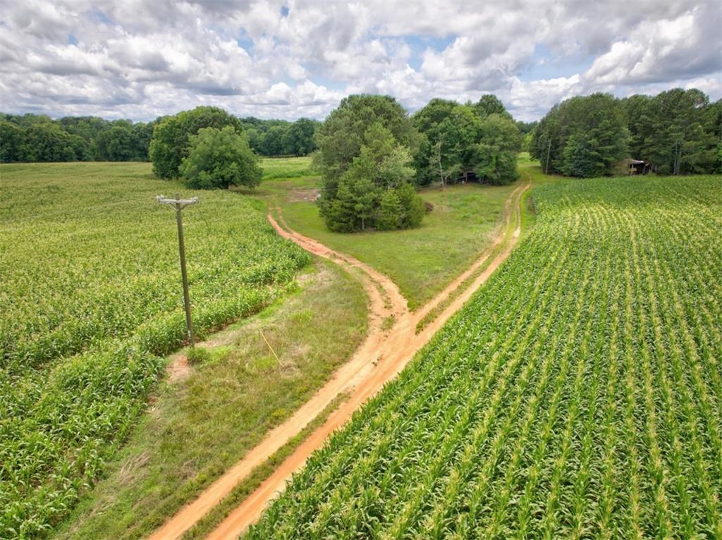 0 Marks Road Mansfield, GA 30055 - Photo 11 of 26