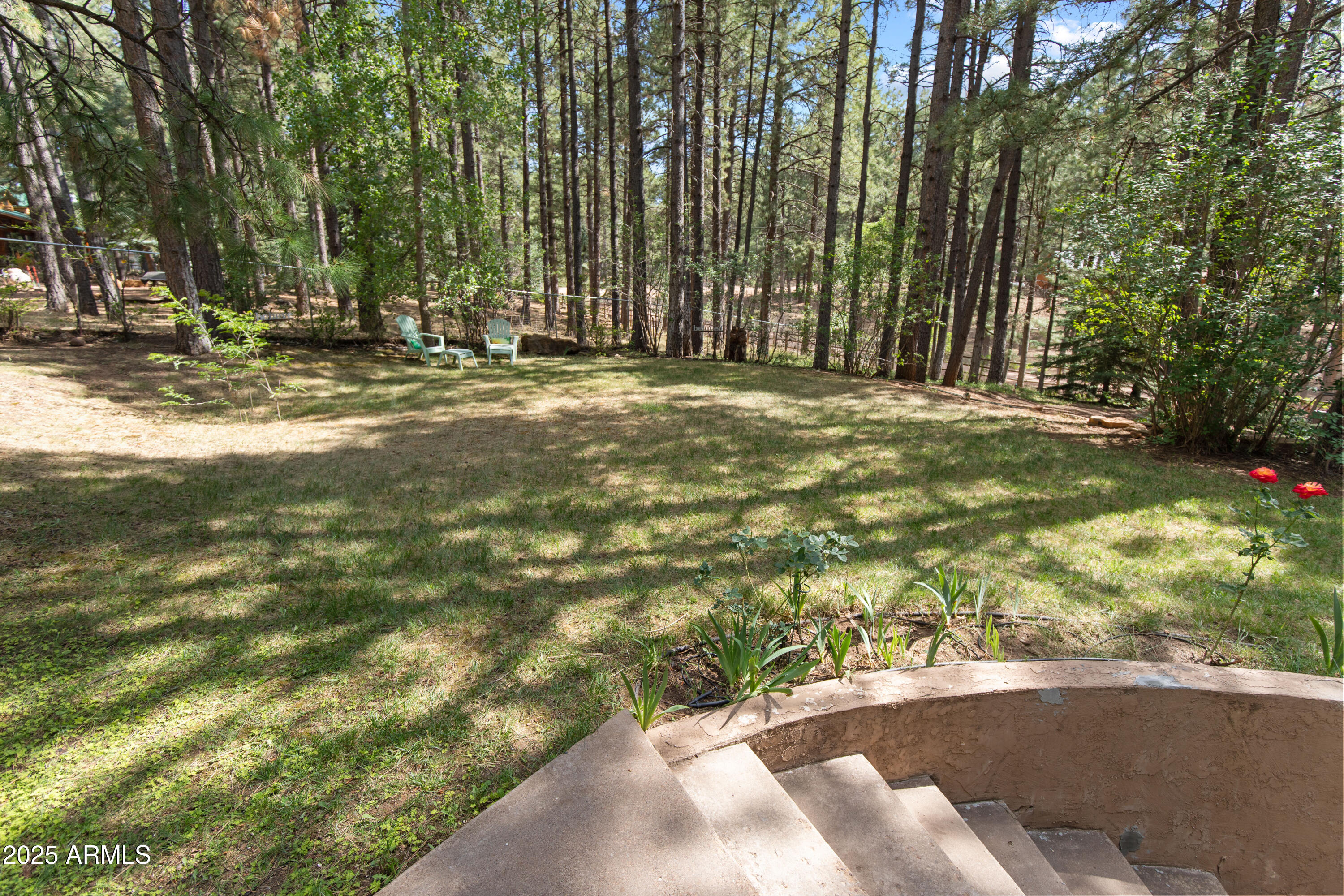 3910 Larson Loop Forest Lakes, AZ 85931 - Photo 43 of 57 Outdoor relaxing spaces