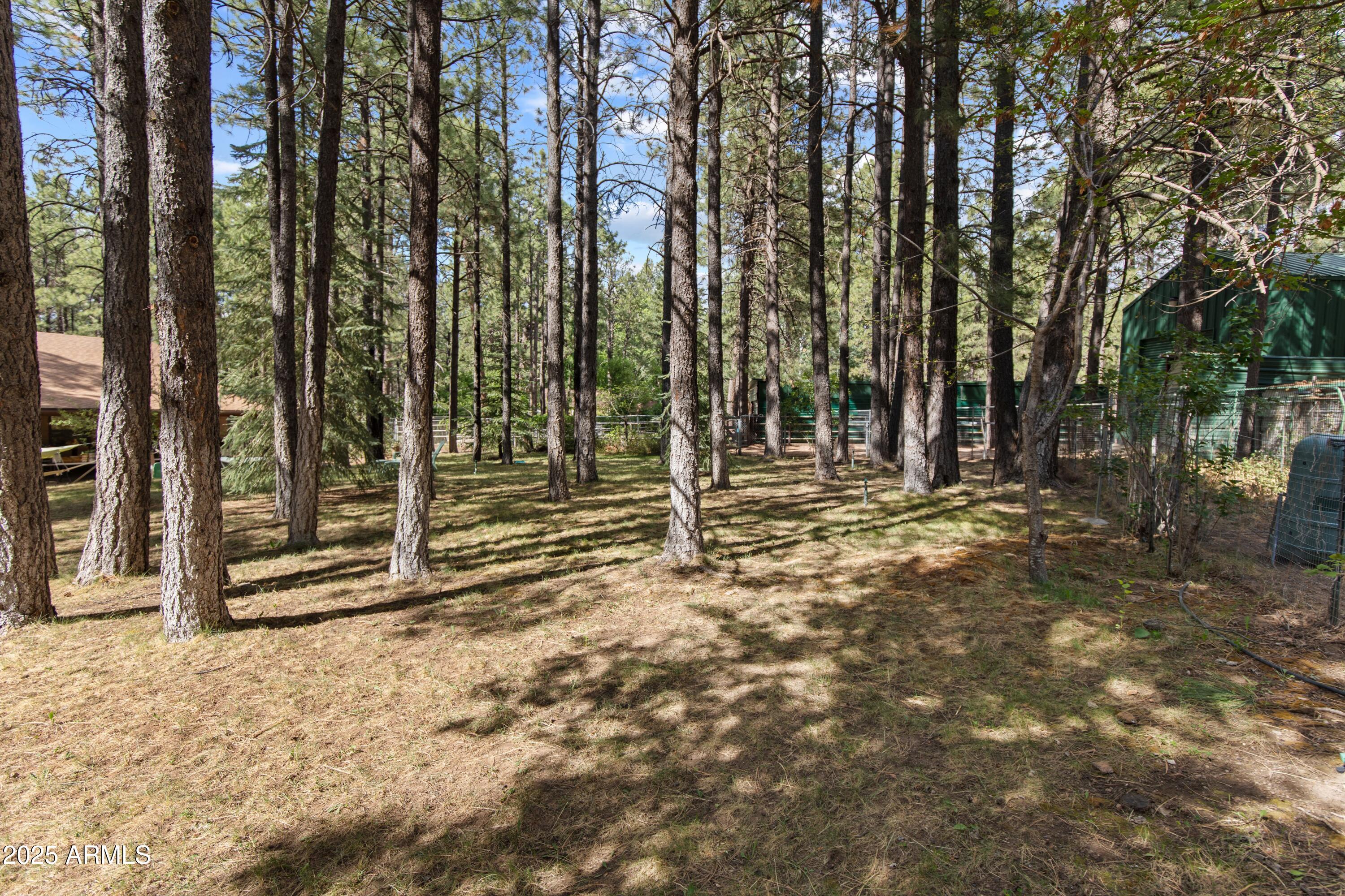 3910 Larson Loop Forest Lakes, AZ 85931 - Photo 44 of 57 Outdoor relaxing spaces