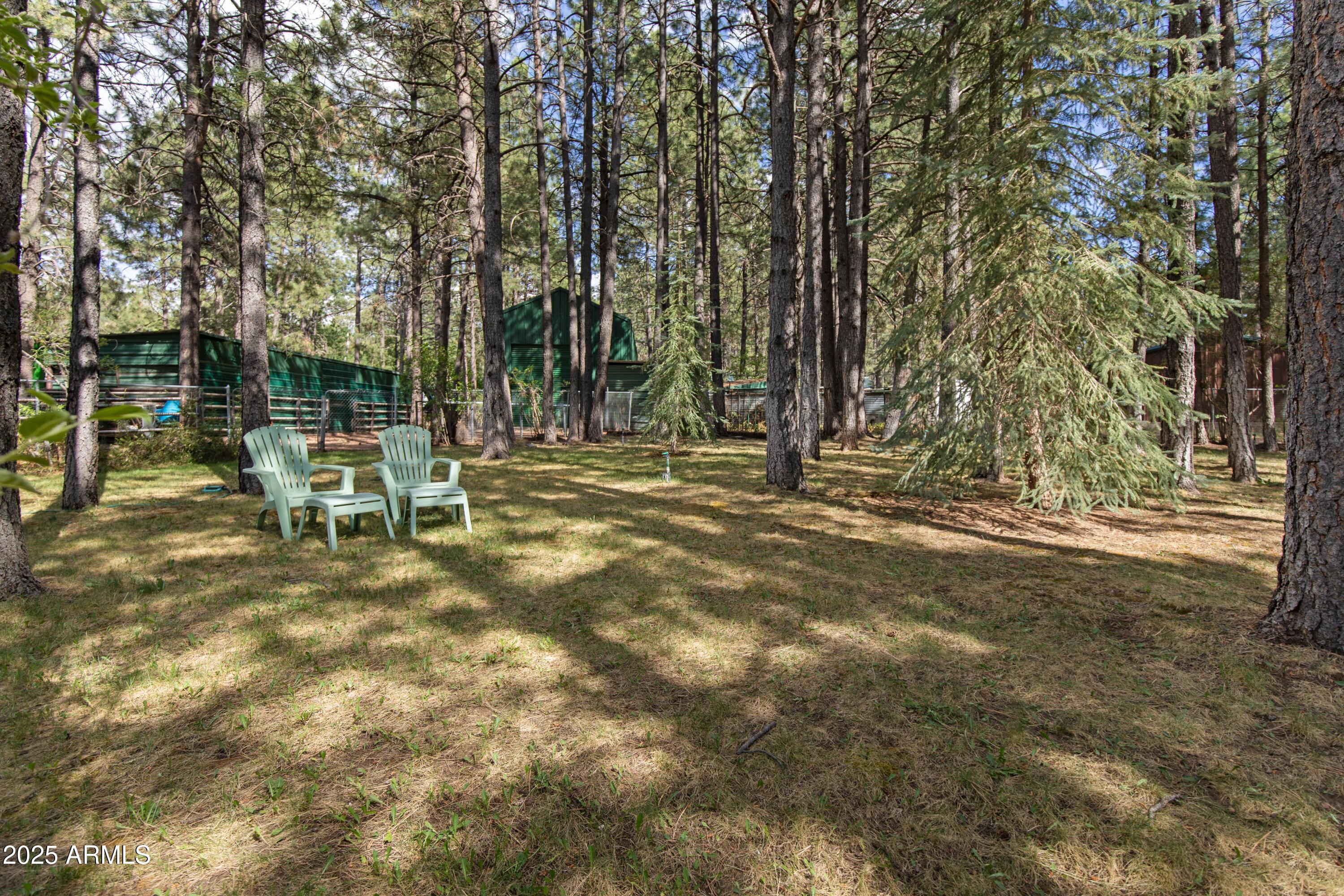 3910 Larson Loop Forest Lakes, AZ 85931 - Photo 45 of 57 Outdoor relaxing spaces